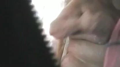 עבה את צפייה ישירה בסרטי סקס פיה הקטן.