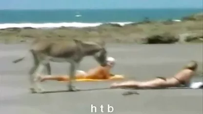 סטודנטים חדשים סרטים ארוטים לצפיה ישירה מארגנים מסיבת חילופי זוגות עם חברים לכיתה.